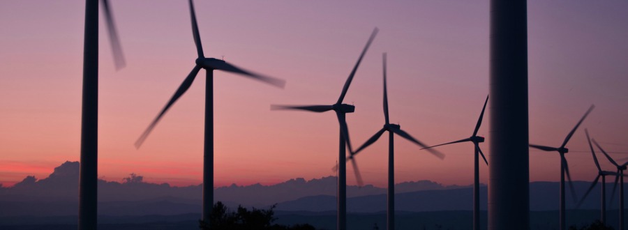 What am I Doing about Sustainability in My Business