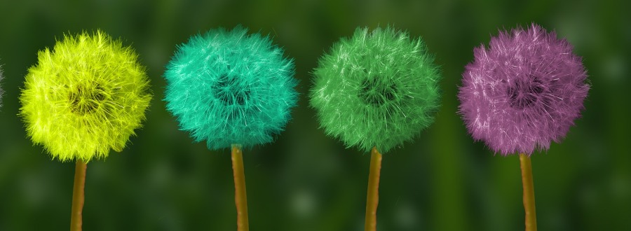Developing a Change Mindset 1